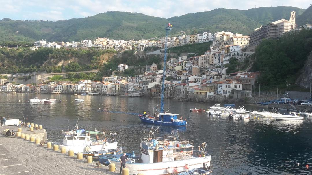 Photo of Others in Scilla