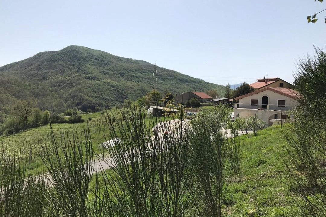 Photo of Others in Lauria