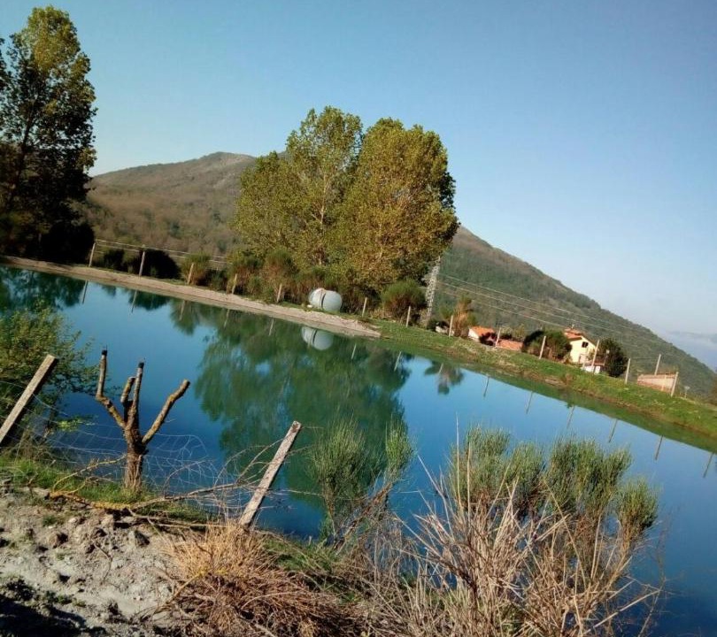 Photo of Others in Lauria