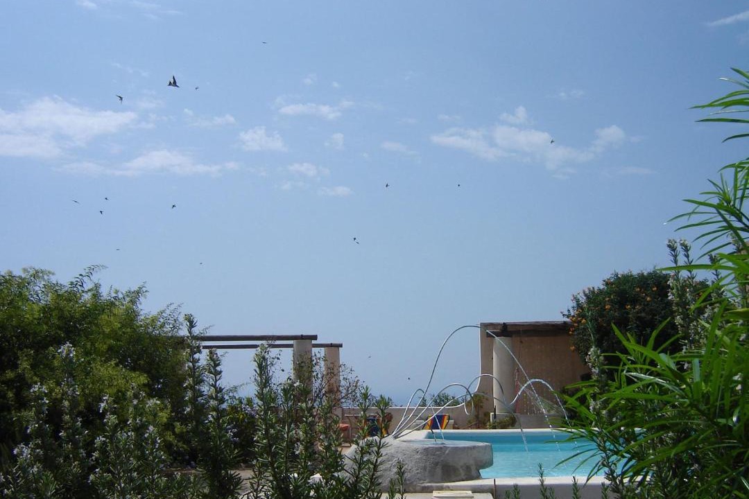Photo of Others in Monte Gallina