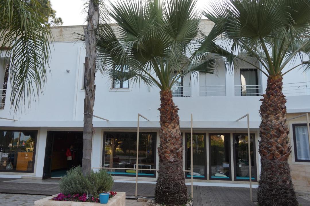 Photo of Buildings in Plaja Grande