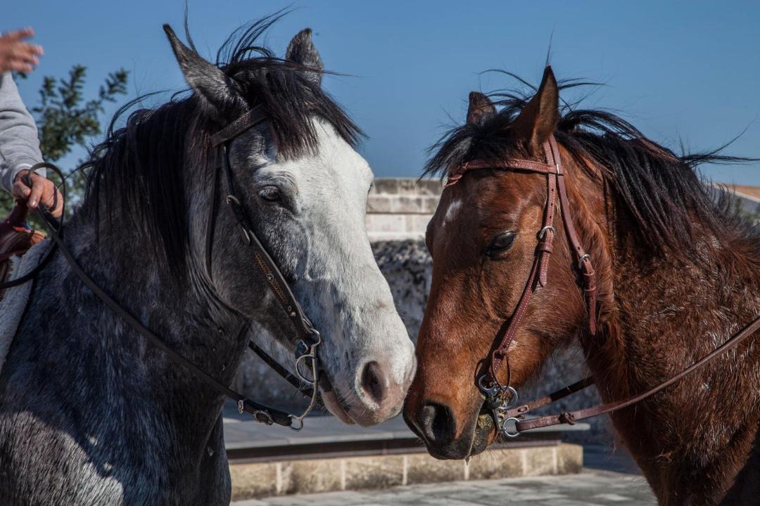 Photo of Others in Taranto