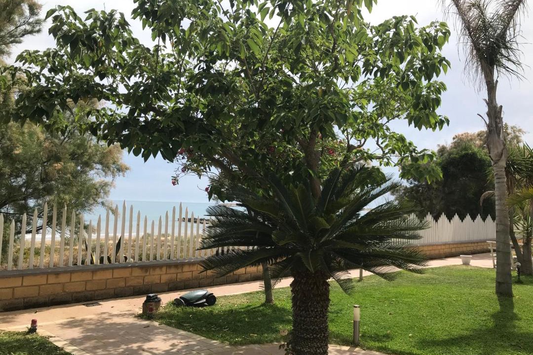 Photo of Others in Porto Palo