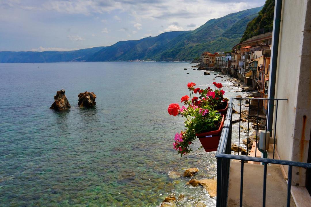 Photo of Others in Scilla