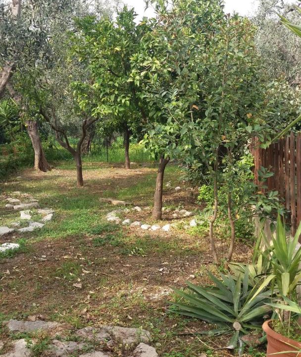 Photo of Others in Mattinata