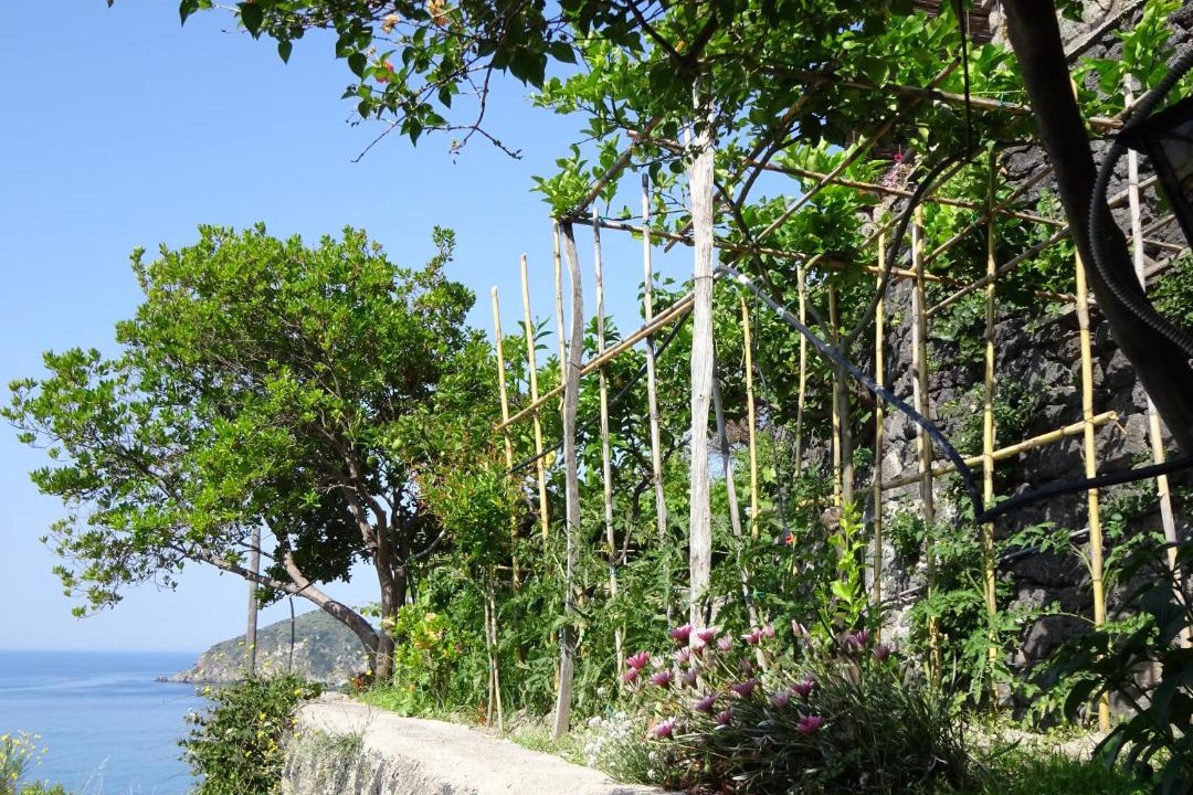 Photo of Others in Barano d'Ischia