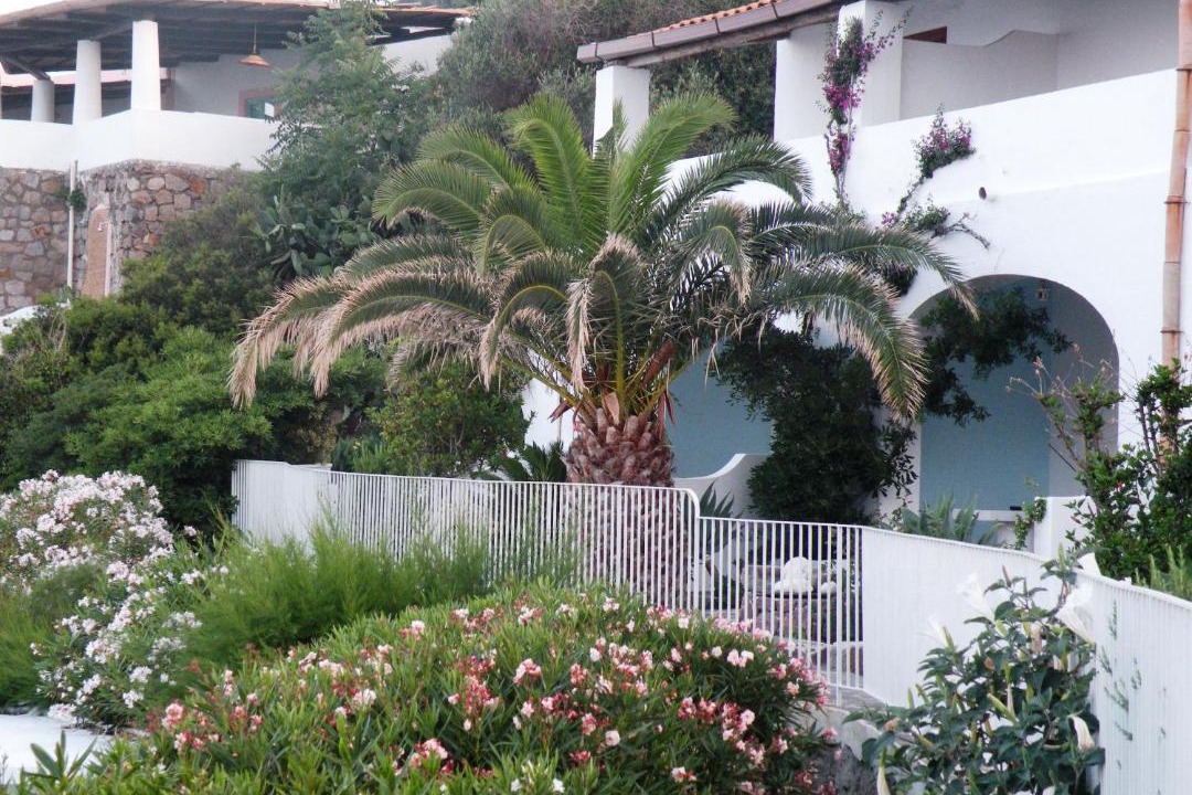 Photo of Others in Panarea