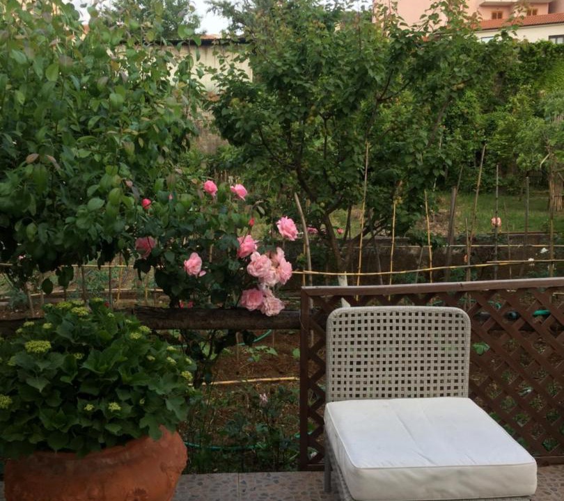Photo of Patio Balcony in San Nicola Arcella