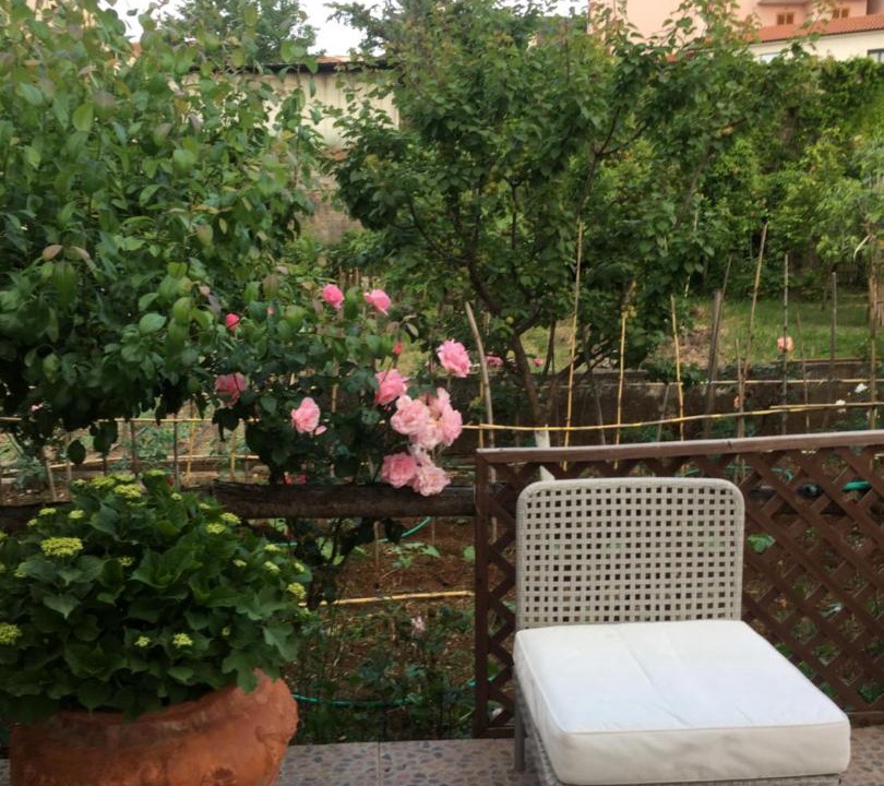 Photo of Patio Balcony in San Nicola Arcella
