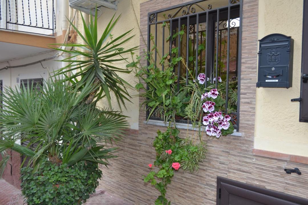 Photo of Others in Bolognetta