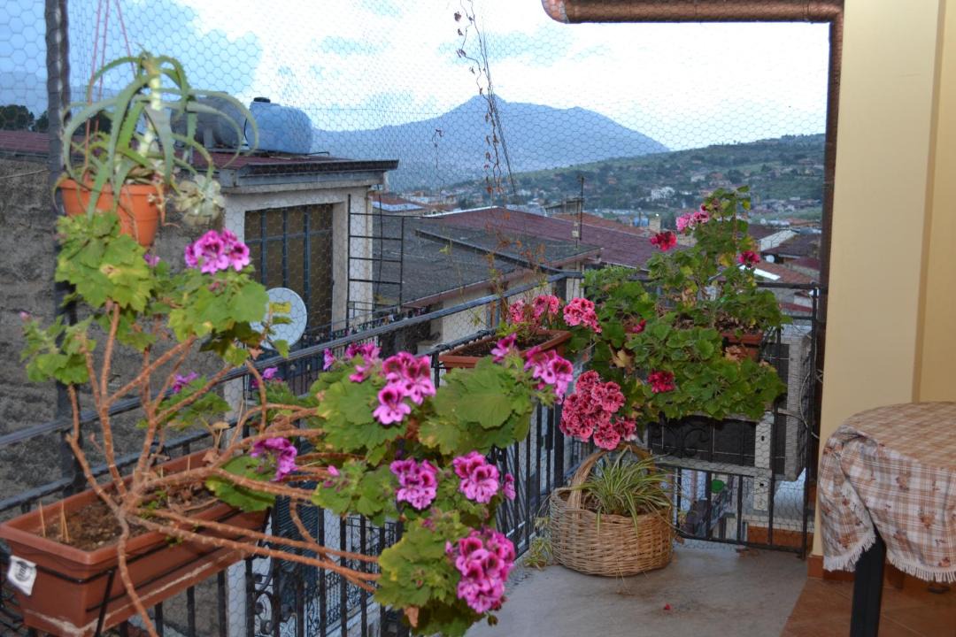 Photo of Others in Bolognetta