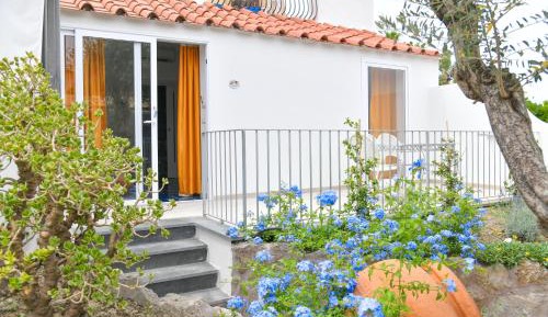 Comfort Double or Twin Room with Terrace