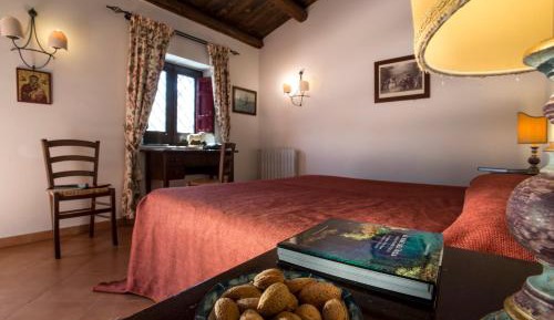 Basic Double or Twin Room