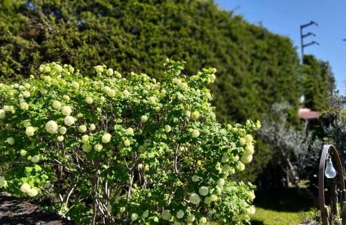 Ariano Irpino Bed & Breakfast | B&B Villa Milena