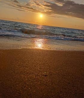 Nocera Terinese Apartment | Apartment Sun & Sea two - Casa Vacanze Località La Macchia