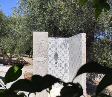 Vico del Gargano Apartment | Oasi degli Ulivi