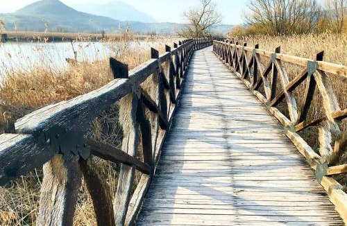 Posta Fibreno House | NINFA DEL LAGO BEDROOMS IL TUO ALLOGGIO SUL LAGO by Dinamica Real Estate