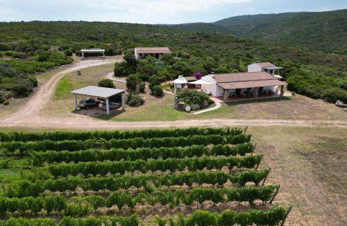 Aglientu House | Villamarina