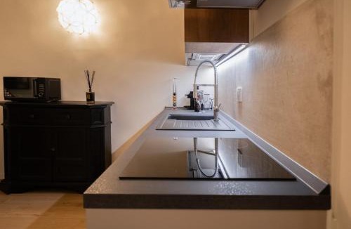 Santo Spirito Apartment | Residenza Villani in Oltrarno, Florence