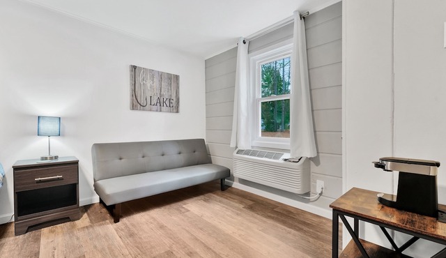 Updated Room #8 - 1 King Bed, Couch, All New Furnishings, Fast WiFi! in Houghton Lake
