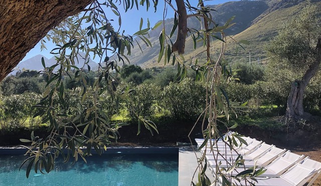 Armani Estates The Castle Holidays & Events