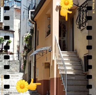 Il Girasole
